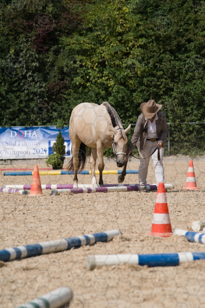 s_batch_A9_00183.jpg